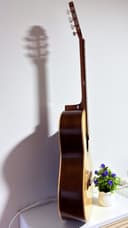 Guitarra Acústica Pino de Nogal con Corte — vista trasera, hecha a mano en Lima